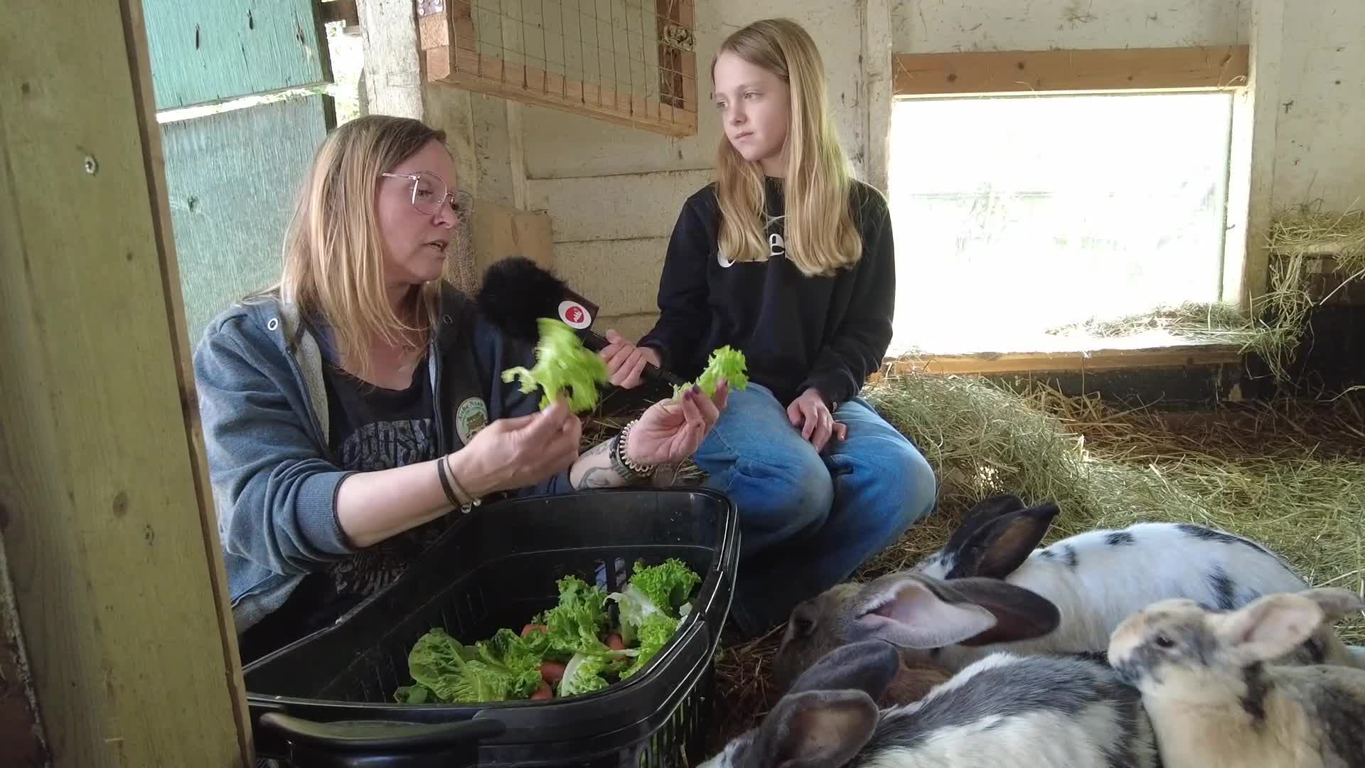 Die Akki-Reporter bei der Arche Noah in Meerbusch